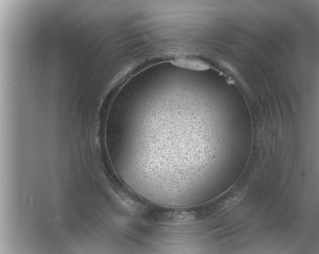 X0000063490443200602031956