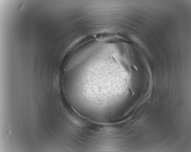 X0000063490444200602031956