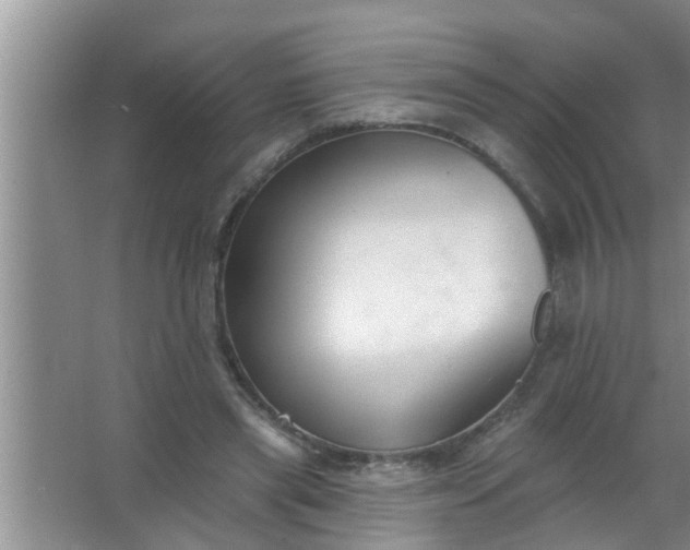 X0000063490445200602031956