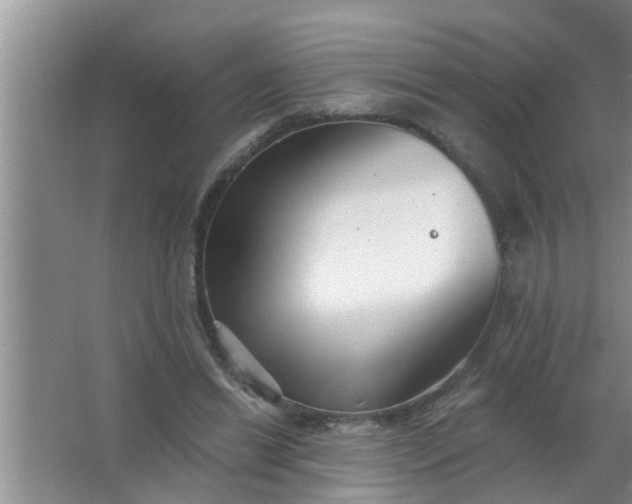 X0000063490446200602031956