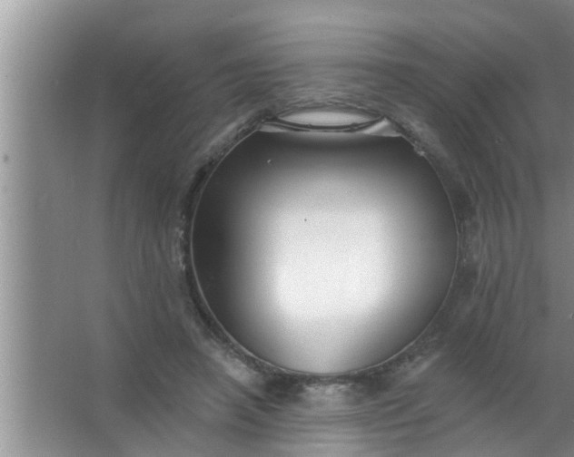 X0000063490450200602031956