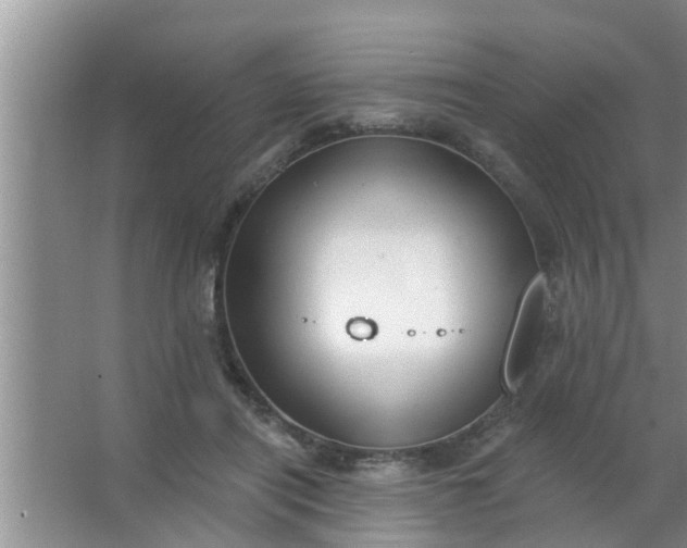 X0000063490454200602031956