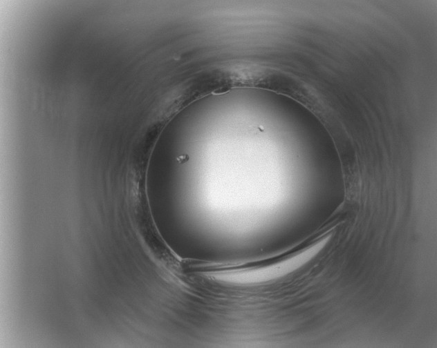 X0000063490456200602031956