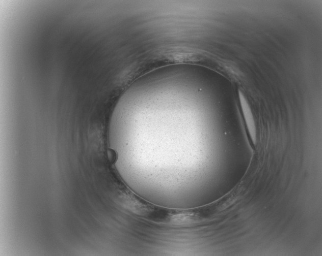 X0000063490461200602031956