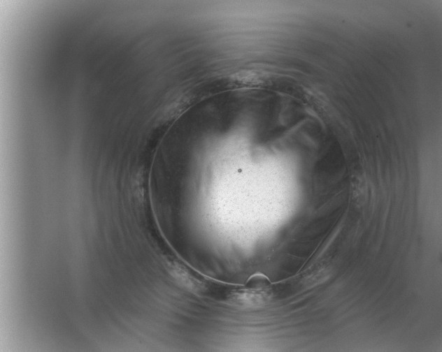 X0000063490466200602031956