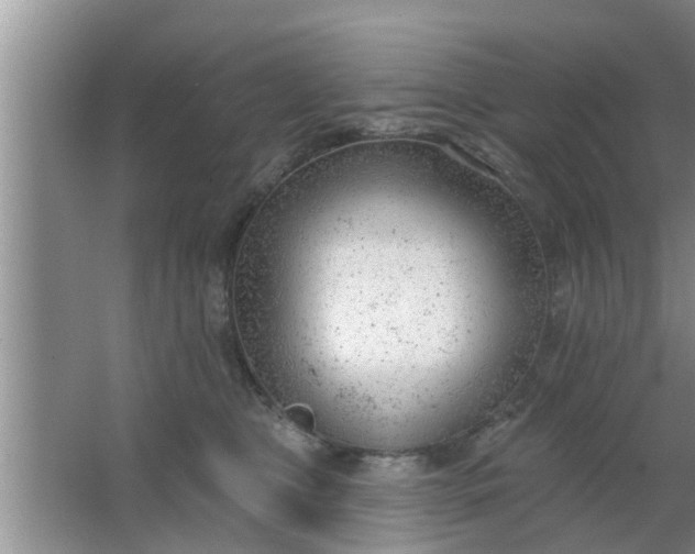 X0000063490469200602031956