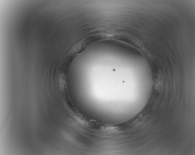 X0000063490476200602031956