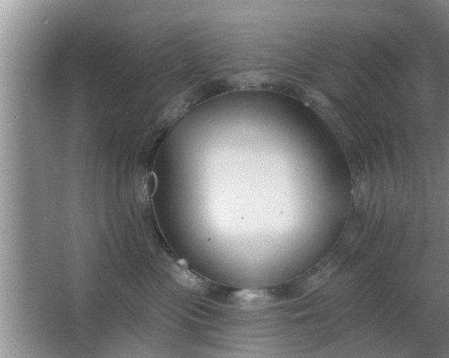 X0000063490477200602031956