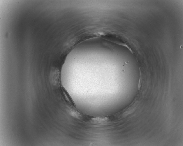 X0000063490480200602031956