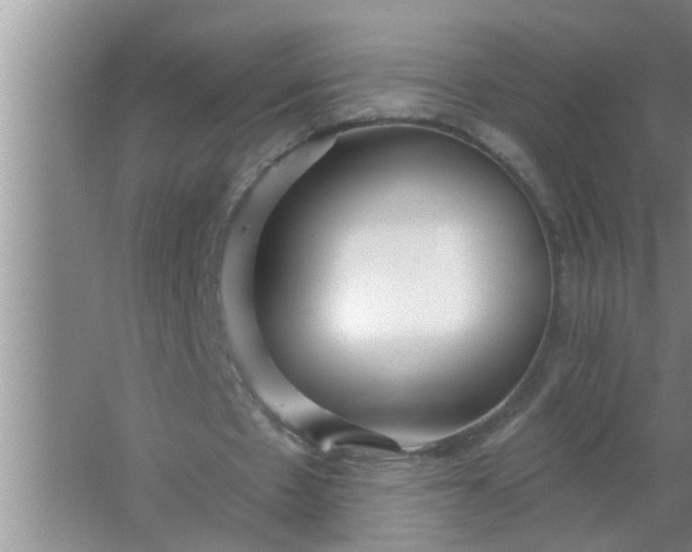 X0000063490481200602031955