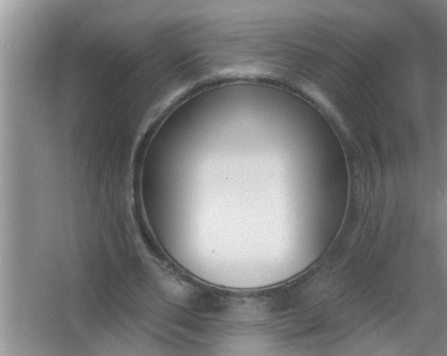 X0000063490486200602031955