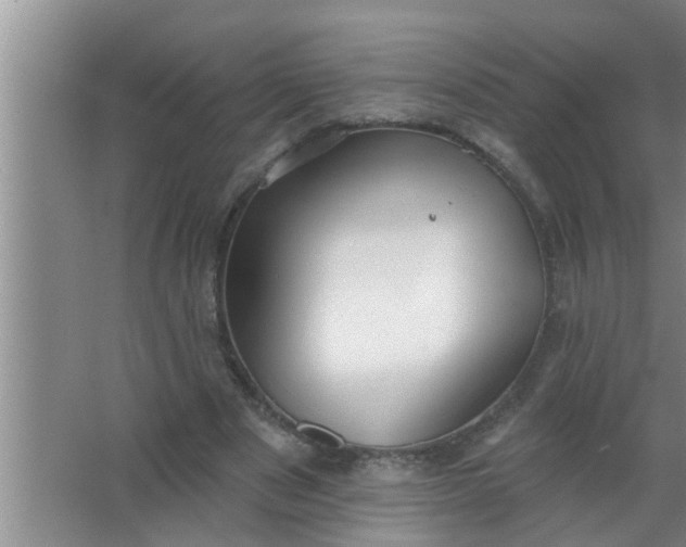 X0000063490489200602031955