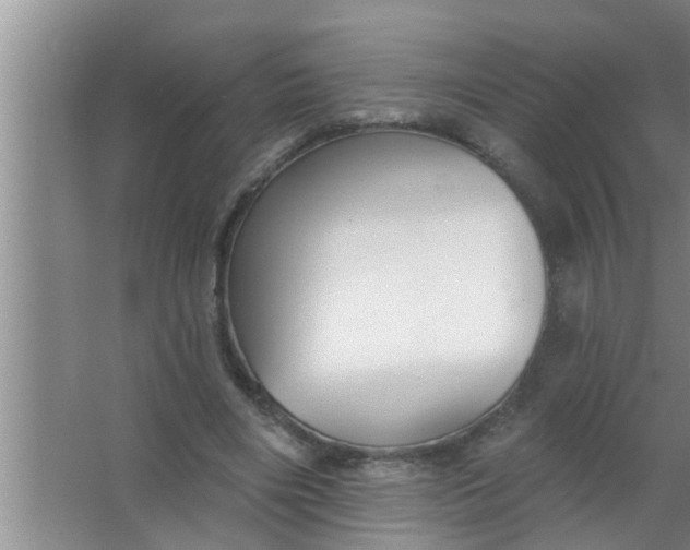 X0000063490490200602031955