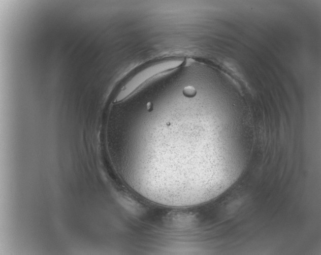 X0000063490491200602031955