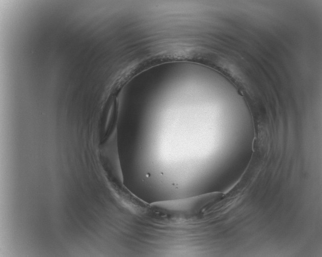 X0000063490493200602031955