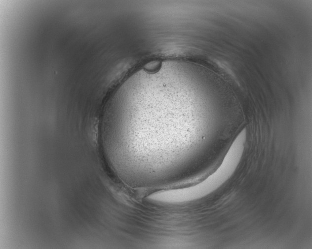 X0000063490495200602031955