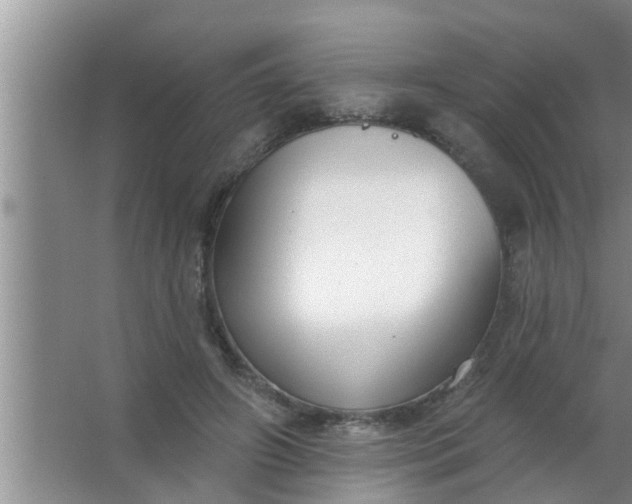 X0000063490498200602031955