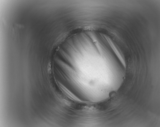 X0000063490502200602031955