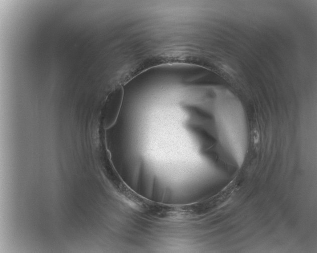 X0000063490504200602031955