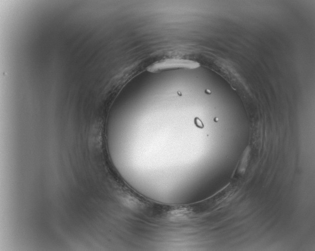 X0000063490505200602031955