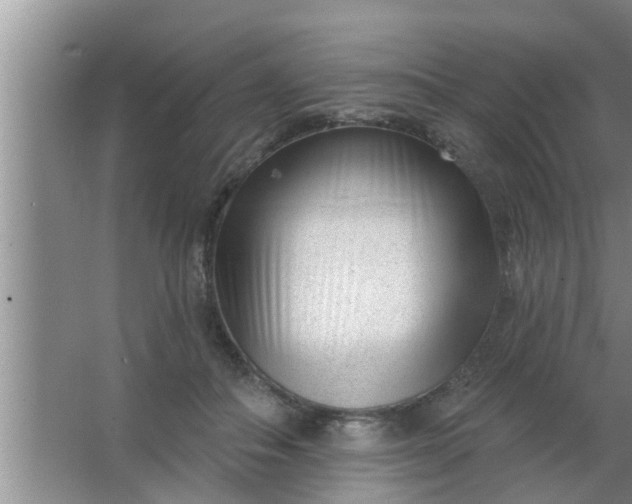 X0000063490506200602031955