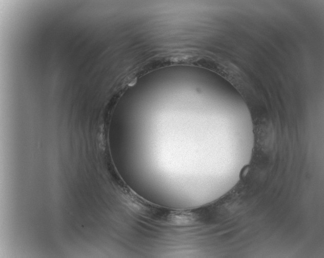 X0000063490510200602031955