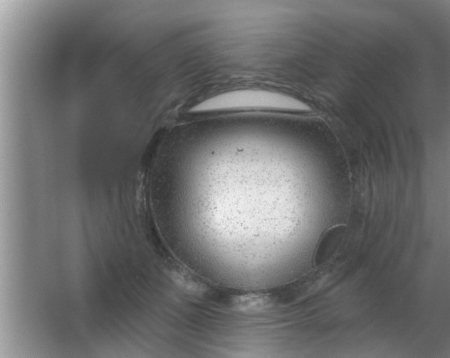 X0000063490511200602031955