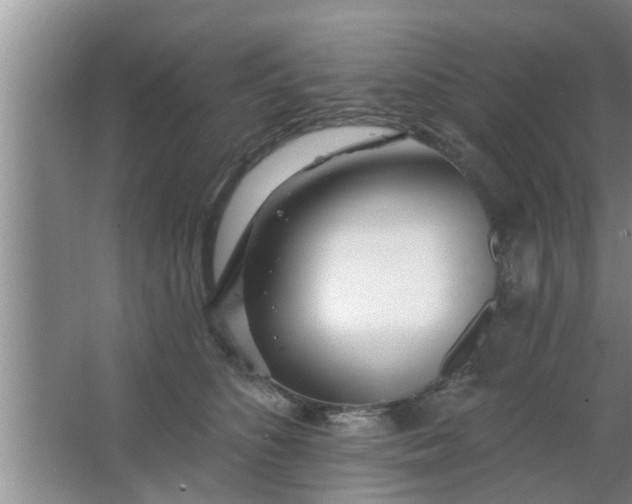 X0000063490516200602031955