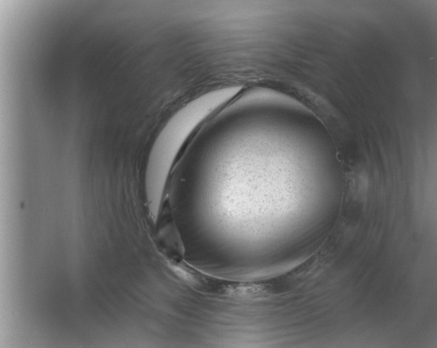 X0000063490517200602031955