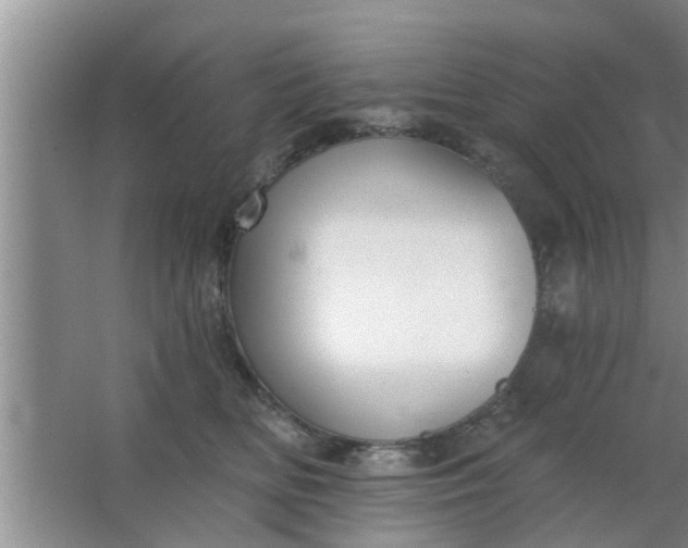 X0000063490518200602031955