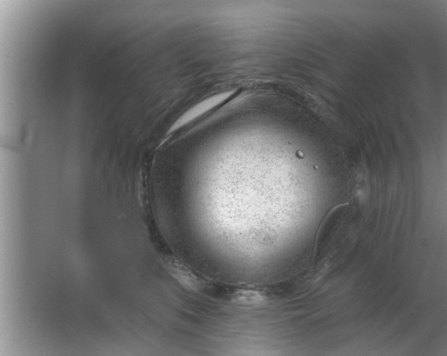 X0000063490519200602031955