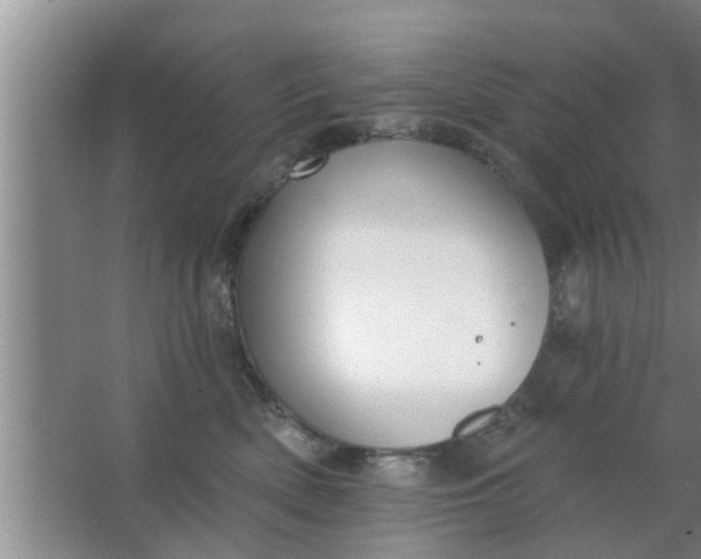 X0000063490522200602031955