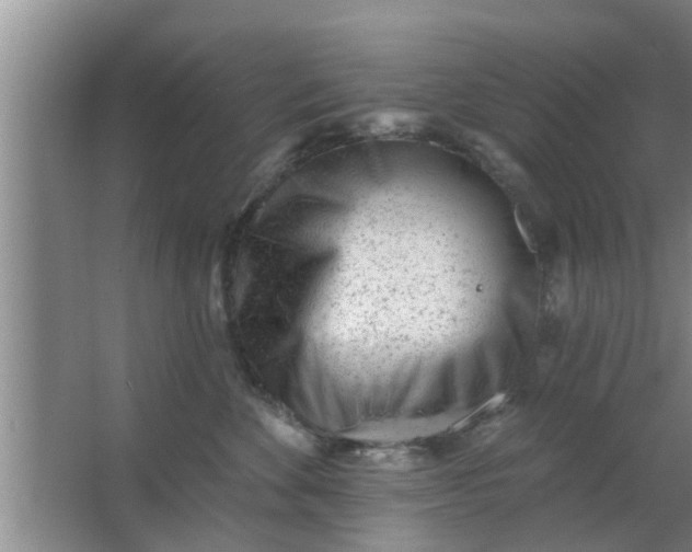 X0000063490524200602031955