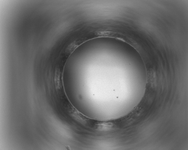 X0000063490525200602031955