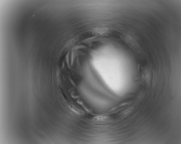 X0000063490526200602031955