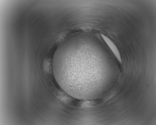 X0000063490527200602031955