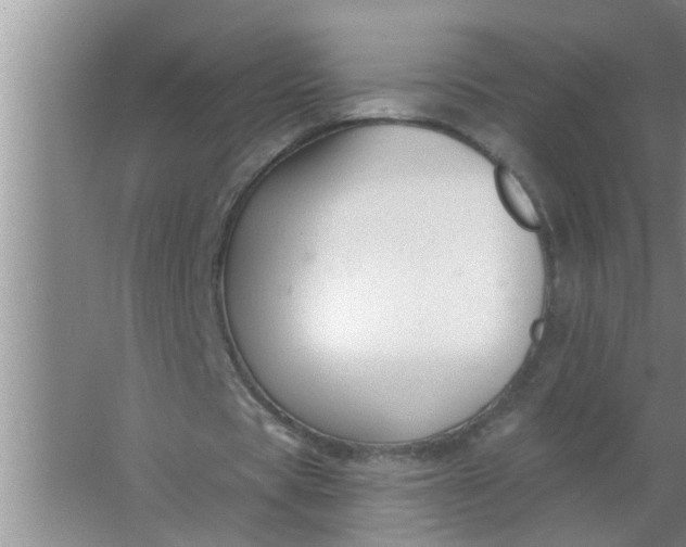 X0000063490529200602031954