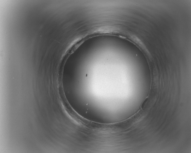 X0000063490530200602031954