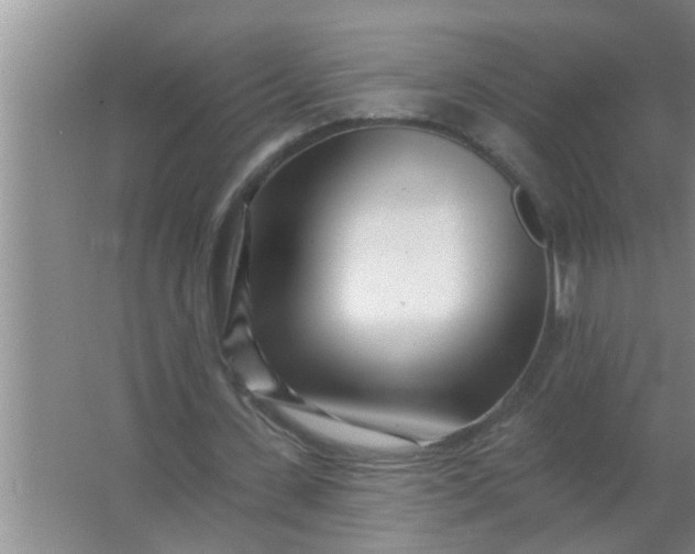 X0000063490531200602031954