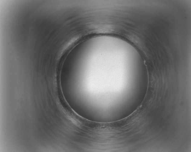 X0000063490535200602031954