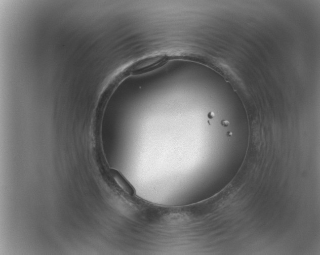 X0000063490536200602031954