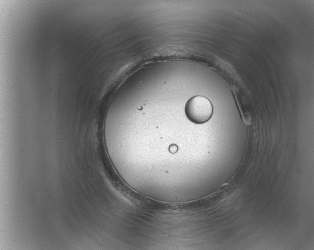 X0000063490538200602031954