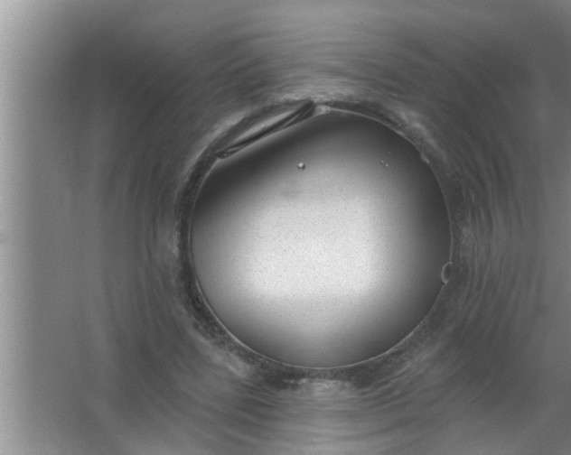 X0000063490539200602031954