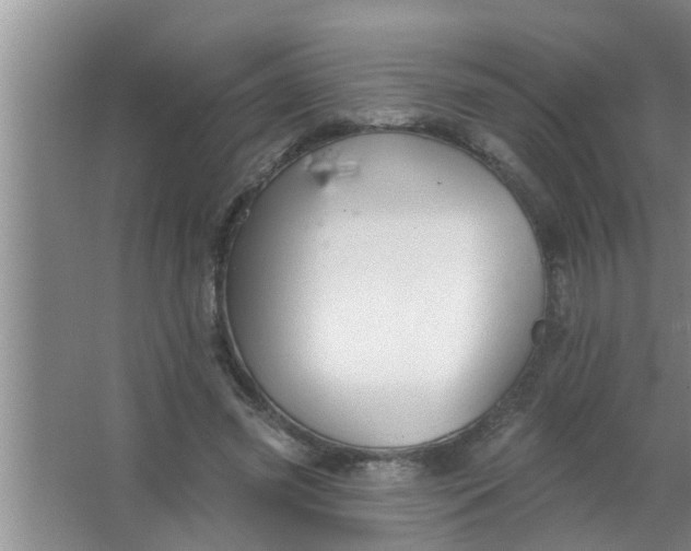 X0000063490541200602031954