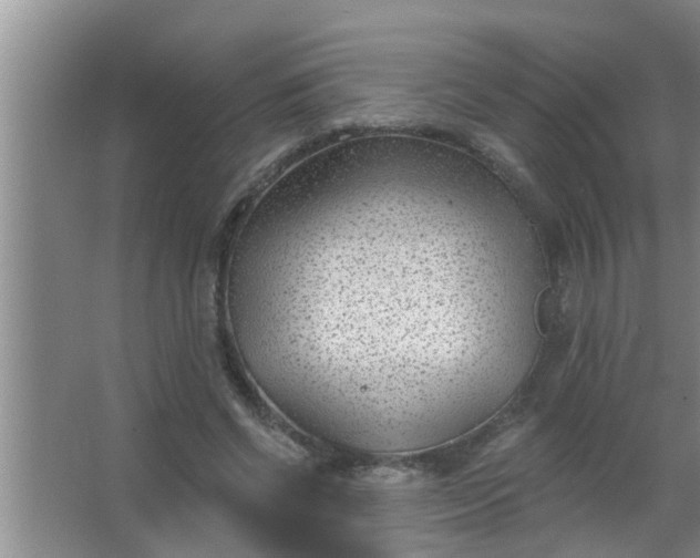 X0000063490542200602031954