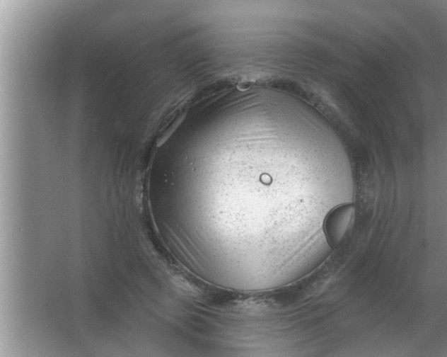 X0000063490545200602031954