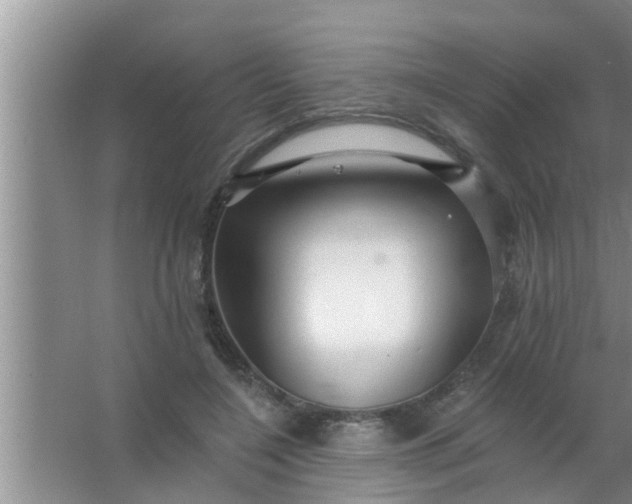 X0000063490548200602031954