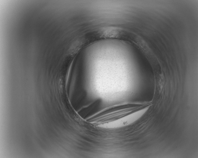 X0000063490551200602031954