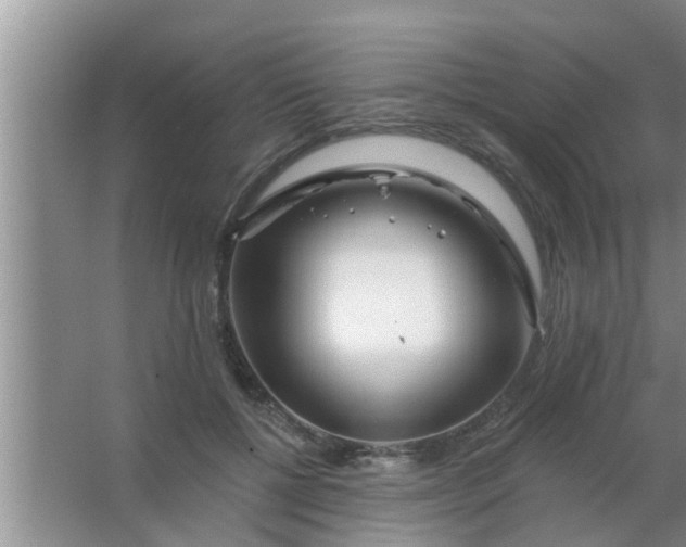 X0000063490552200602031954