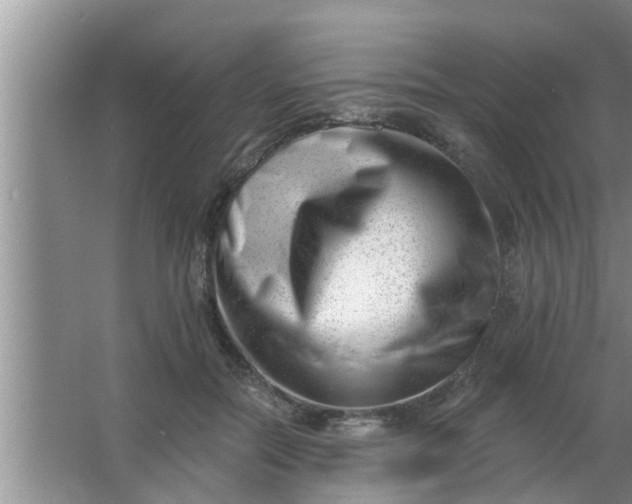 X0000063490554200602031954